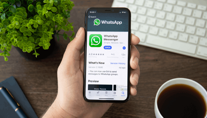 Social Spy WhatsApp