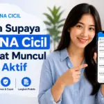 Trik Supaya DANA Cicil Cepat Muncul dan Aktif